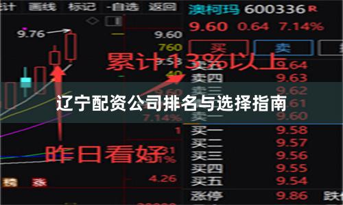辽宁配资公司排名与选择指南