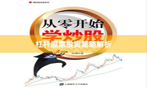 杠杆股票投资策略解析